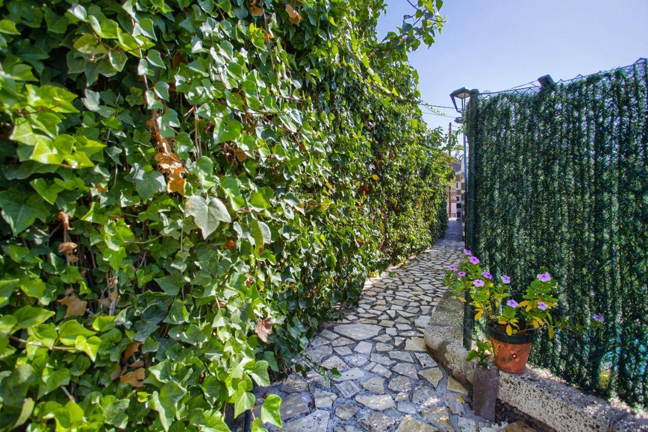 Romantic Hamlet Cottage With Private Pool La Fragua De Eliseo Candelaria Zewnętrze zdjęcie